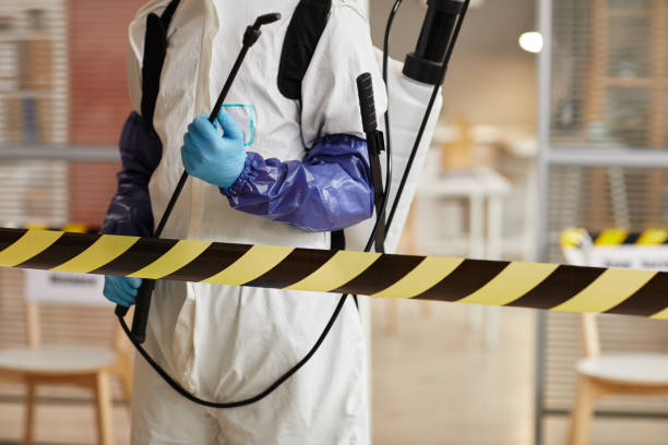 Professional Sewage Cleanup technician working in Martin, MI